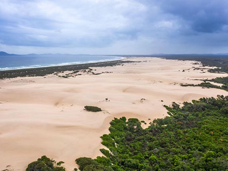 The beach and dunes along Dark Point walking track in Myall Lakes National Park. Photo: John Spencer