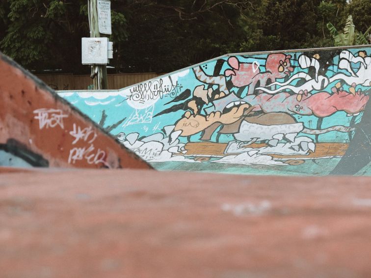 Visit Macleay Valley Coast Art Trail Kempsey Skatepark Mural