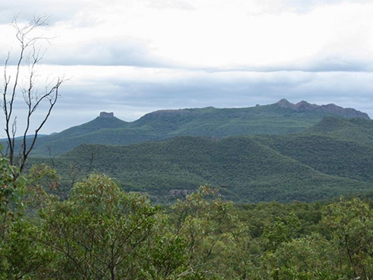 Deriah Aboriginal Area. Photo: Dirk Richards/NSW Government
