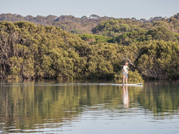 Bermagui River, Sapphire Coast NSW, fishing, kayaking, SUP, South Coast, estuary