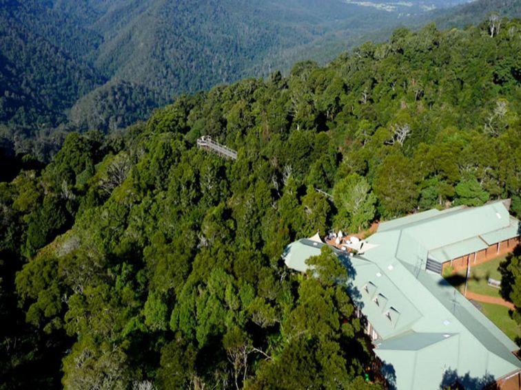 Dorrigo Rainforest Centre, Dorrigo National Park. Photo: NSW Government