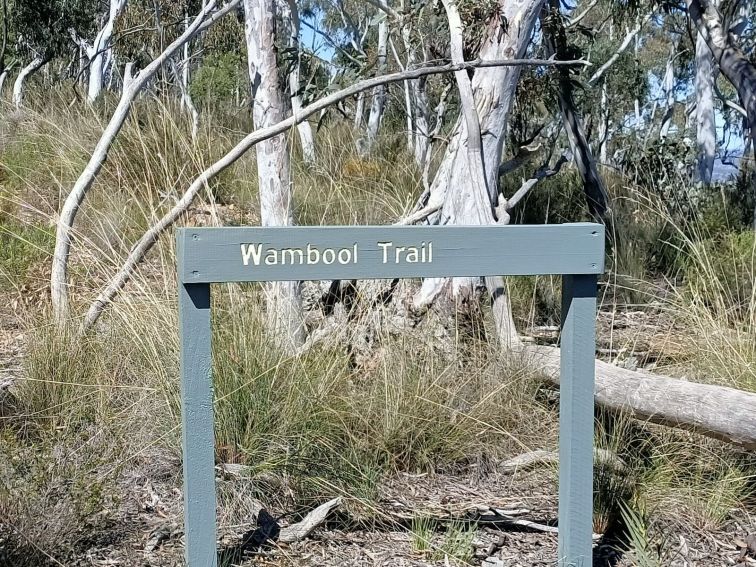 Bushwalking, Bathurst, Wambool, Birdwatching, Nature