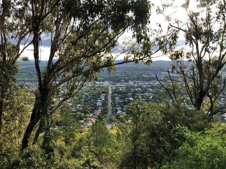 Photo between the trees overlooking East Tamworth after rain so its nice and green