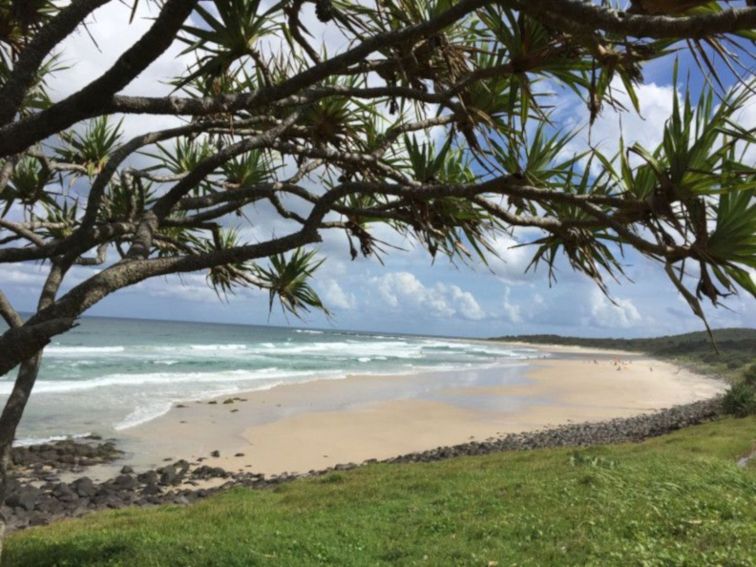 Sharpes beach from the North through the Pandanus Trees