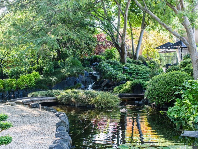 Japanese Gardens Pond