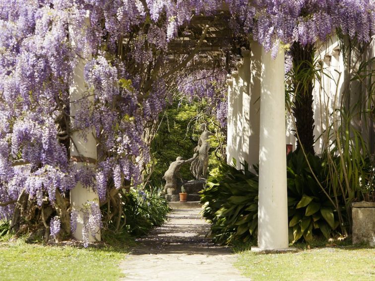 Wisteria walkway with Satyr pursuing a Nymph in the distance