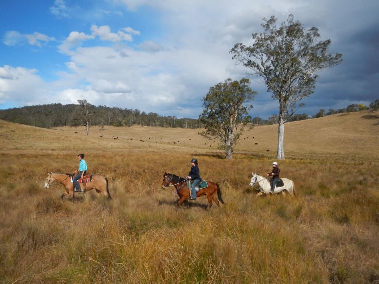 Australian Bush Horse Riding
