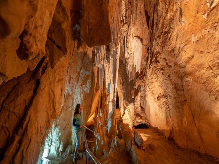A person admiring geological features in the Fig Tree Cave, Wombeyan Karst Conservation Reserve.