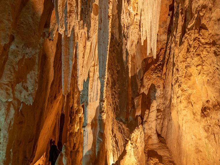 Geological features and formations in Fig Tree Cave, Wombeyan Karst Conservation Reserve. Photo:
