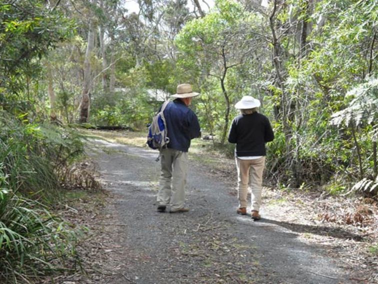 The walk to Fitzroy Falls, Morton National Park. Photo: Beth Boughton/NSW Government