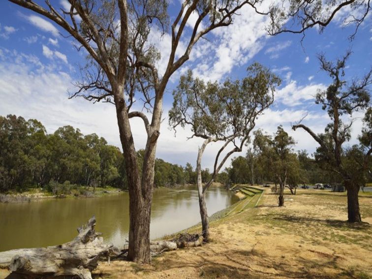 Five Mile picnic area, on the banks of the Murray River in Murray Valley Regional Park. Photo: Gavin