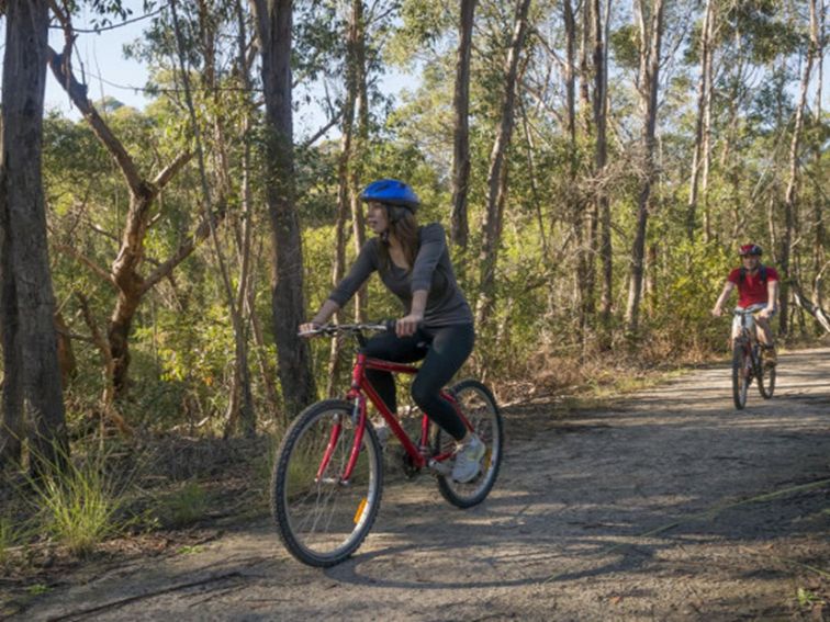 Two people riding their mountain bikes in Garigal National Park. Photo: John Spencer/OEH