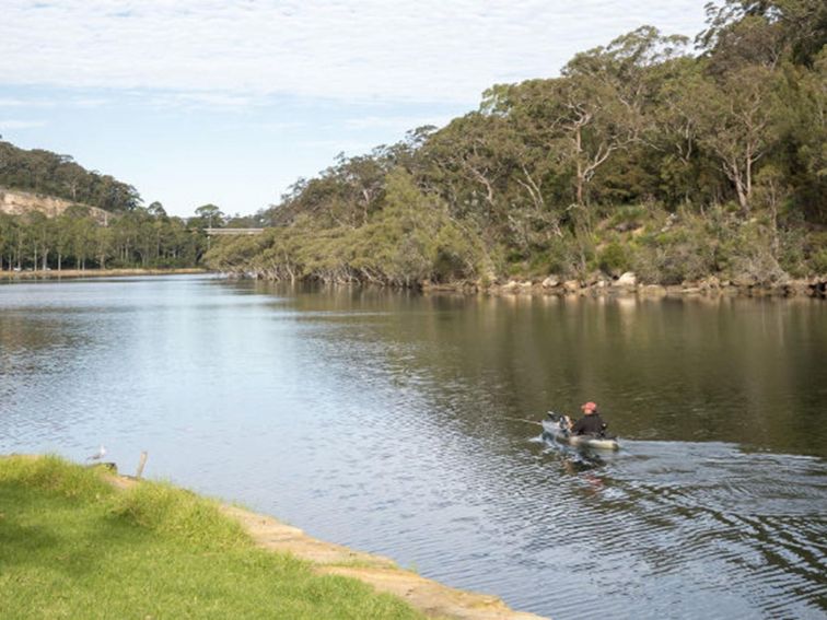 A person in a canoe glides down the river next to Davidson Park, in Garigal National Park. Photo: