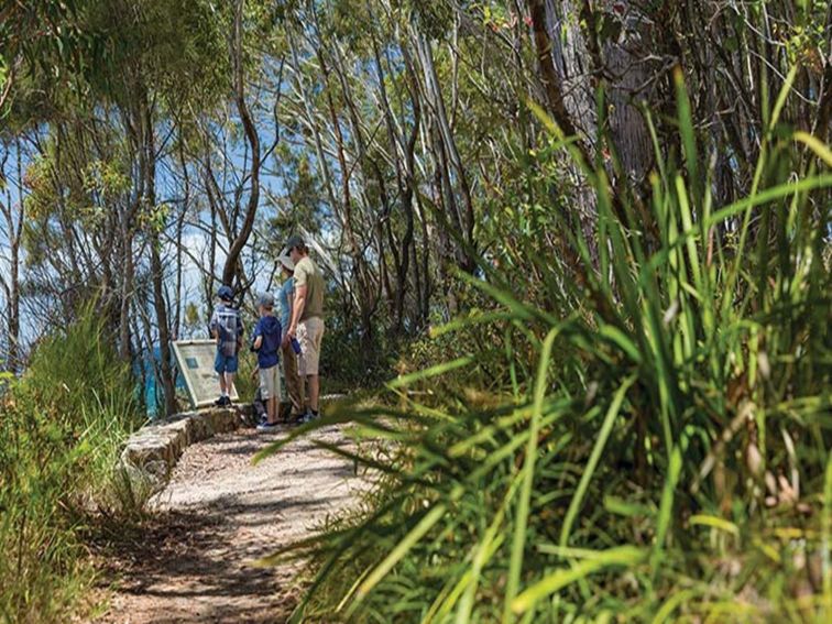 A family read a sign along Scribbly Gum track in Jervis Bay National Park. Photo: David Finnegan