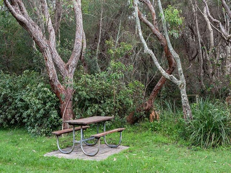 A picnic table next to trees at Hammerhead Point picnic area, Jervis Bay National Park. Photo:
