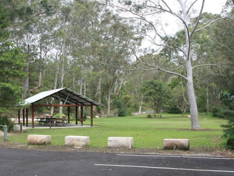 Grassy Haynes Flat picnic area with a picnic shelter in the distance, in Lane Cove National Park.
