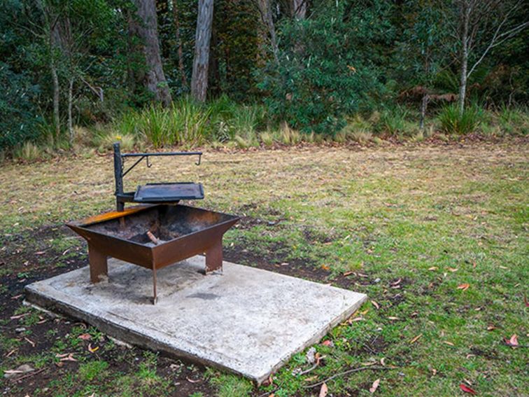 A wood barbecue in Honeysuckle picnic area, Barrington Tops National Park. Photo: John Spencer/DPIE