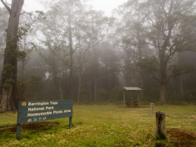 Signage and picnic tables surrounded by mist in Honeysuckle picnic area, Barrington Tops National