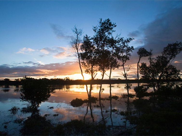 Hunter Wetlands National Park. Photo: Susan Davis/OEH