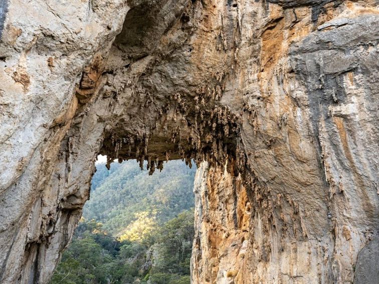 The rocky face of Carlotta Arch, Jenolan Karst Conservation Reserve. Photo: Jenolan Caves/DPE.