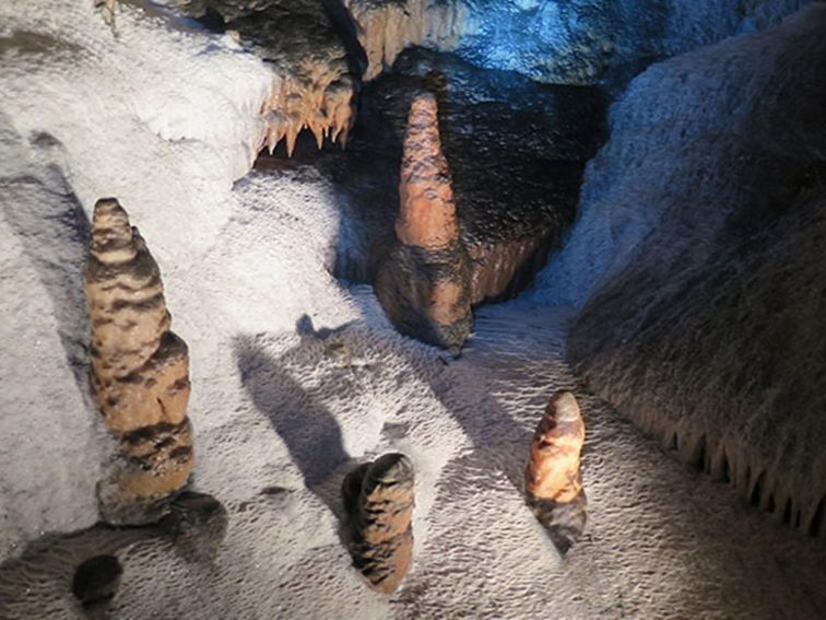 Jersey Cave stalagmites, Yarrangobilly Caves, Kosciuszko National Park. Photo: Elinor Sheargold