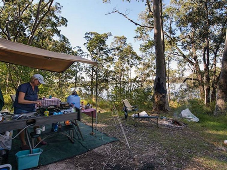 Little Mountain Campground, Karuah National Park. Photo: John Spencer/NSW Government
