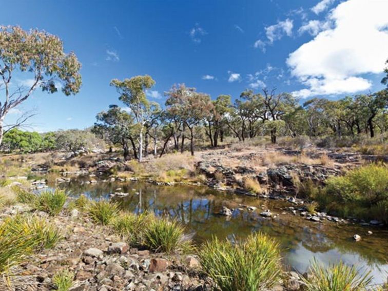 Ironbark Creek campground, Kings Plains National Park. Photo: Robert Cleary/OEH