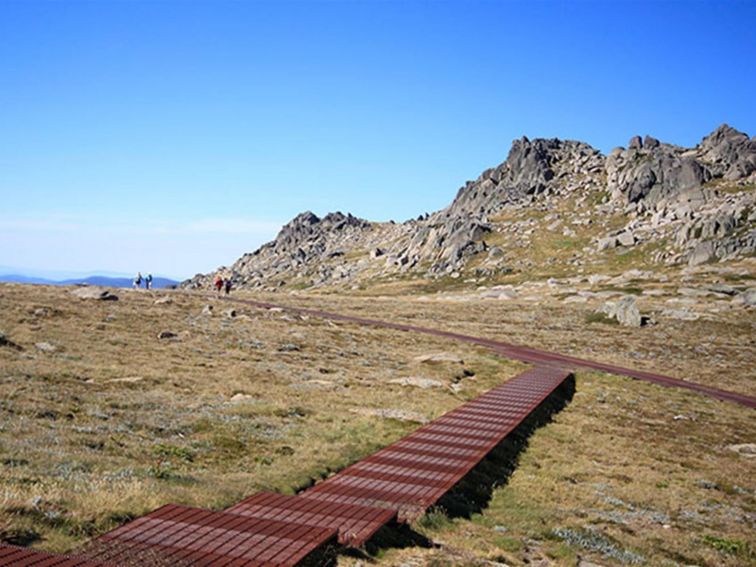 A raised metal mesh path leads off Thredbo's Kosciuszko walk to Kosciuszko lookout. Photo: Elinor