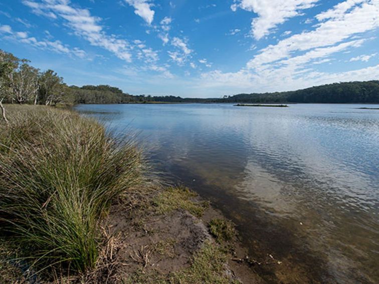 Lake Innes Nature Reserve. Photo: John Spencer &copy: DPIE
