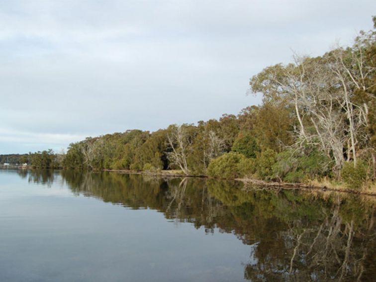 Lake Macquarie State Conservation Area. Photo: Susan Davis/NSW Government