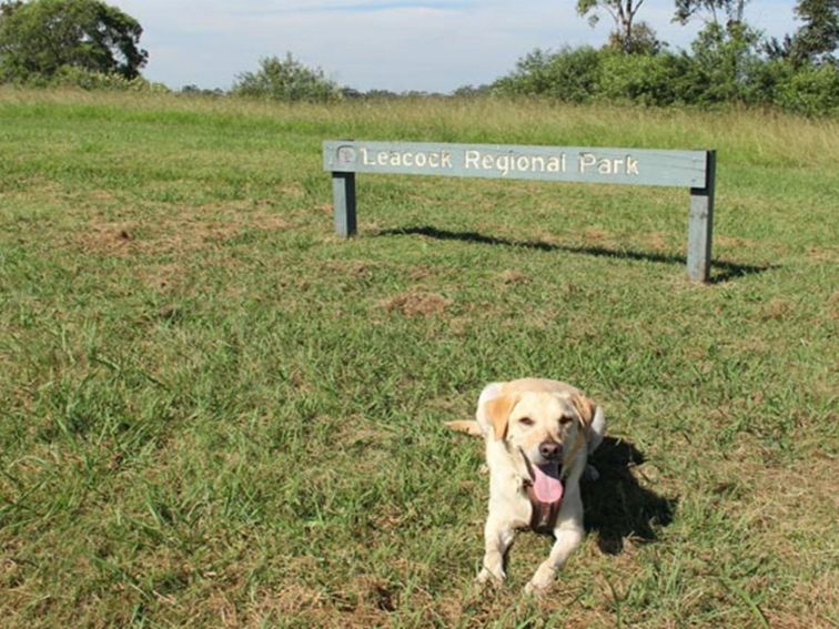 Dog sitting near sign in Leacock Regional Park. Photo: John Spencer &copy; DPIE