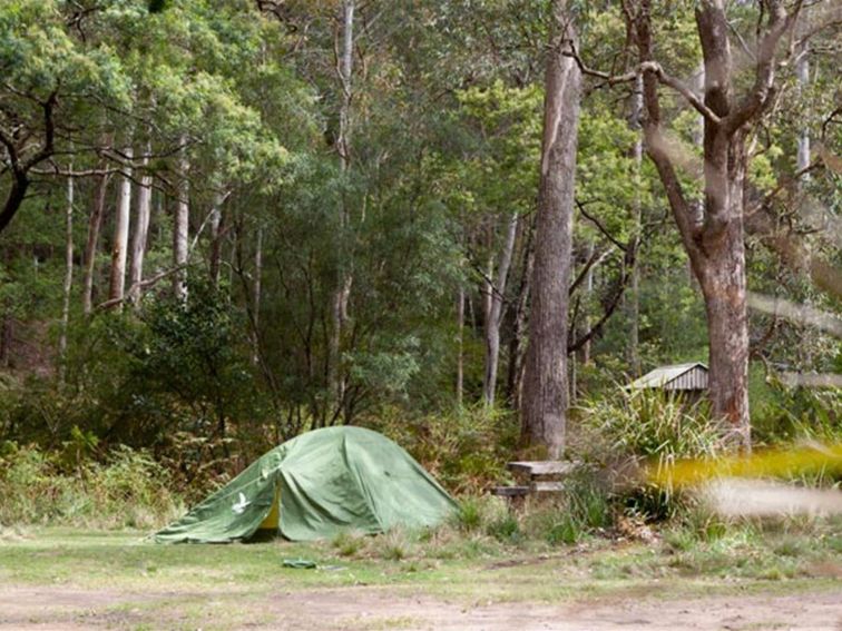 Long Gully picnic area pitch, Budawang National Park. Photo: Lucas Boyd &copy; OEH