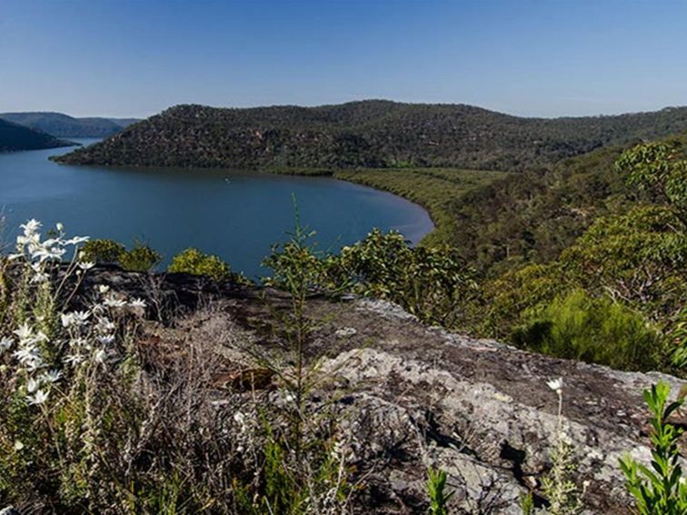 Marramarra National Park. Photo: John Spencer/NSW Government