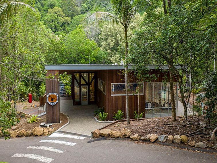 Exterior of Minnamurra Rainforest Centre with zebra crossing in the foreground and rainforest in the