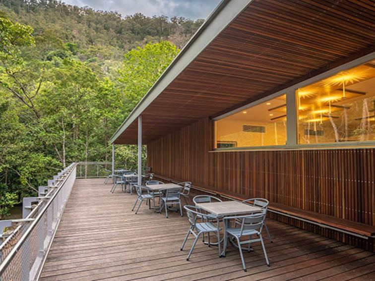 The balcony outside Minnamurra Rainforest Centre with chairs and tables, and rainforest in the