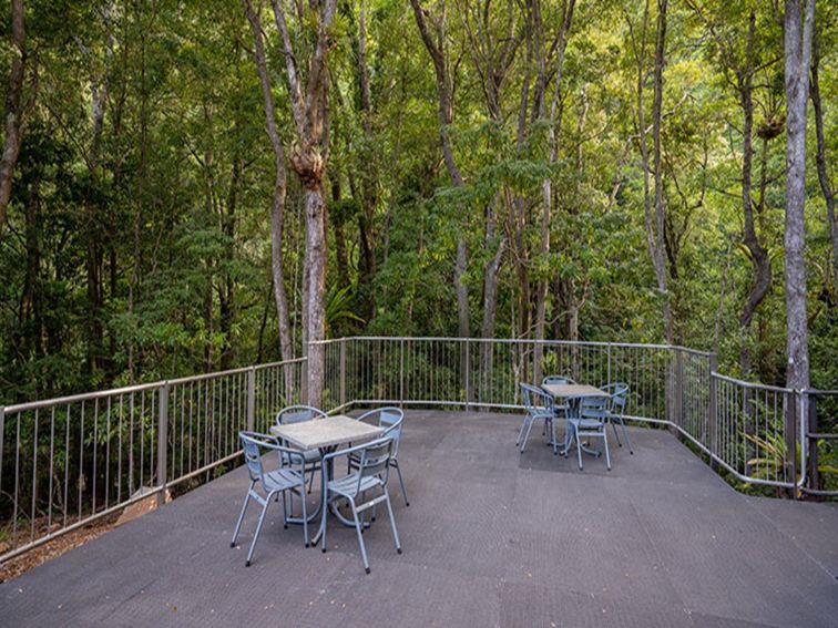 An open outdoor area with tables and chairs, surrounded by rainforest at Minnamurra Rainforest