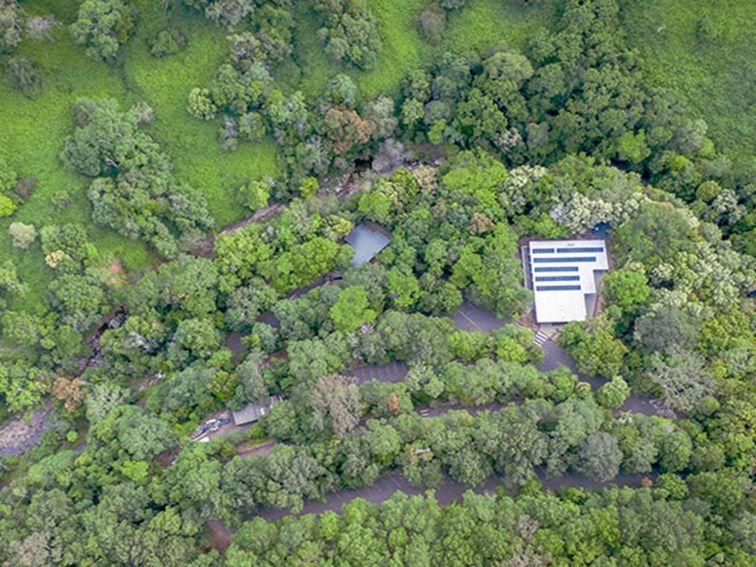 Aerial shot of the top of Minnamurra Rainforest Centre surrounded by rainforest in Budderoo National