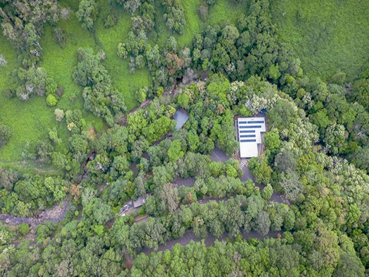 Aerial shot of the top of Minnamurra Rainforest Centre surrounded by rainforest in Budderoo National