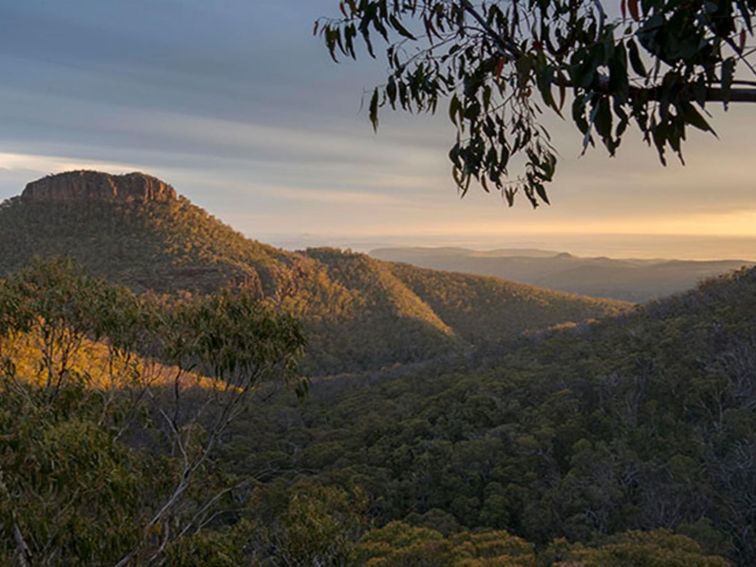 The view from Euglah Rock lookout, overlooking a valley and Euglah Rock. Photo credit: Leah Pippos