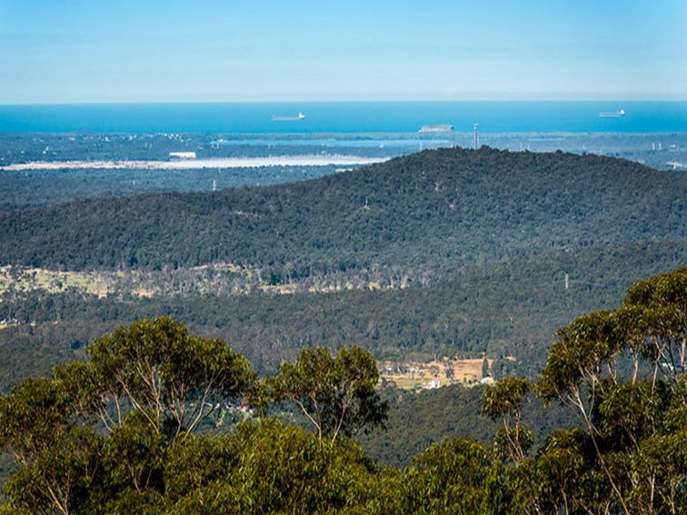 Muirs lookout, Jilliby State Conservation Area. Photo: John Spencer