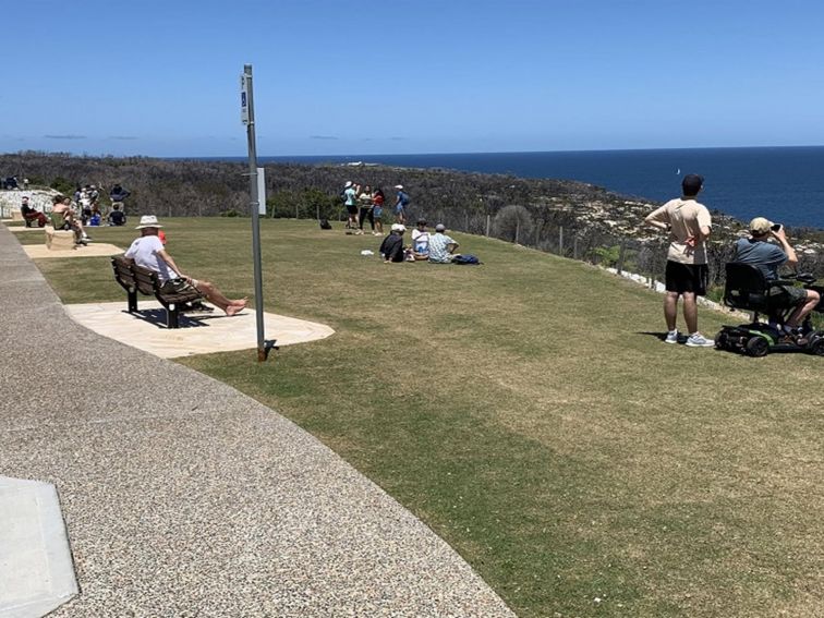 Visitors taking in ocean views at North Head lookout, Sydney Harbour National Park. Photo: Katherine