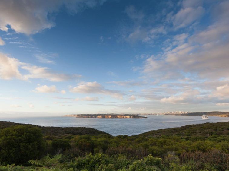 The heath covered cliff tops at North Head, Sydney Harbour National Park. Photo: David Finnegan