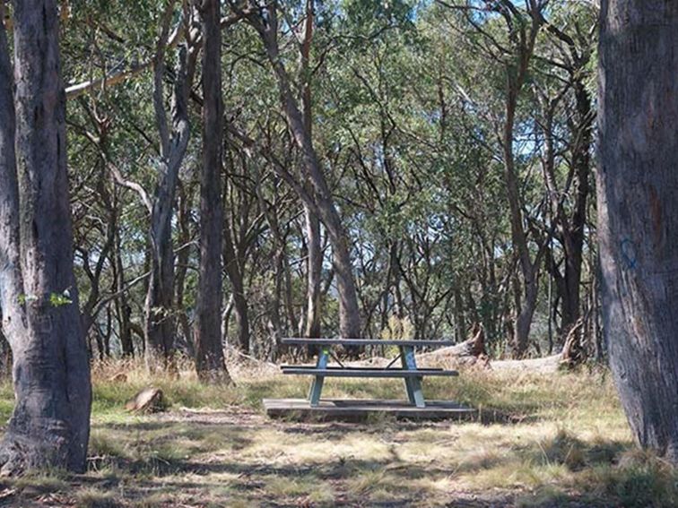Wide view of picnic table among bushland including red stringybark and peppermint trees. Photo: