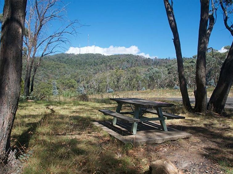 Picnic table set beneath the shade of trees, with bushland and mountain views. Photo: Steven