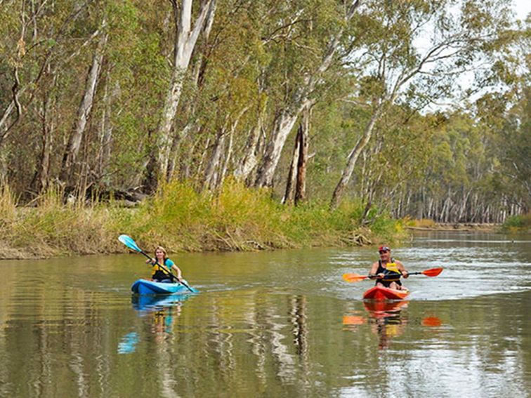 2 people paddling down the Murray River near Swifts Creek campground in Murray Valley National Park.