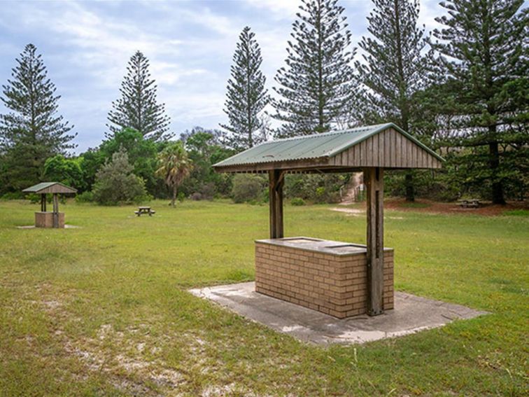 Grassy flat surrounded by tall Norfolk pines with barbecue facilities and a picnic table. Photo
