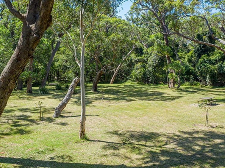 Aerial view of grassy clearing and picnic table surrounded by trees at Beach Road picnic area in