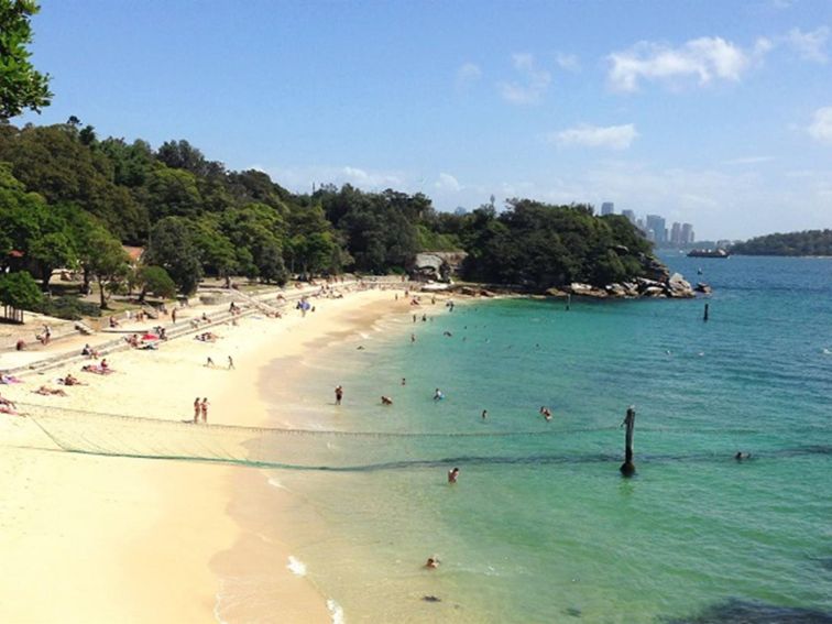 Swimmers on Shark Beach as seen from Shakespeares Point in Sydney Harbour National Park. Photo: