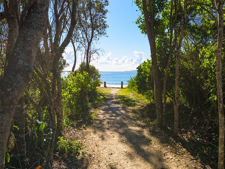 Sandy track from picnic area to Shark Bay with coastal vegetation on either side. Photo: Jessica