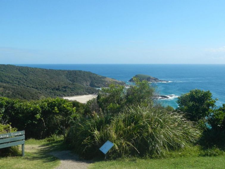 The path from Smoky Cape picnic area to Jack Perkins walking track, Hat Head National Park. Photo: